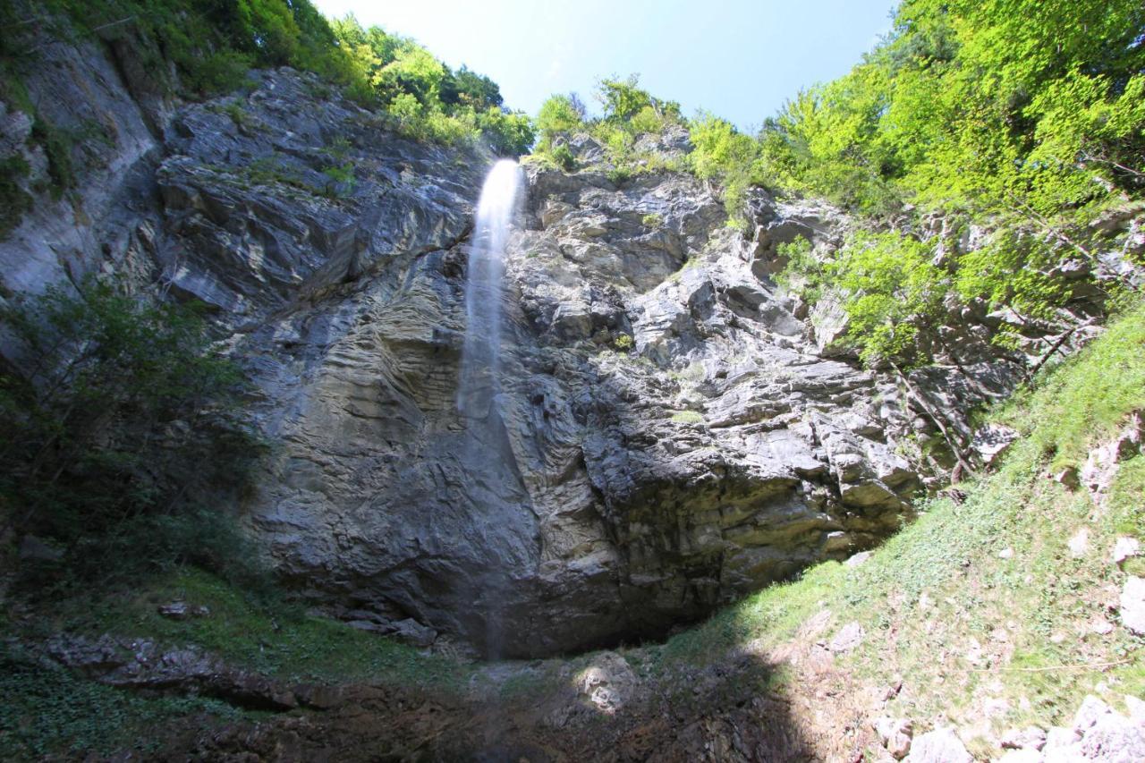 Ferienwohnungen Haus Waldwinkel Ашау-им-Химгау Экстерьер фото